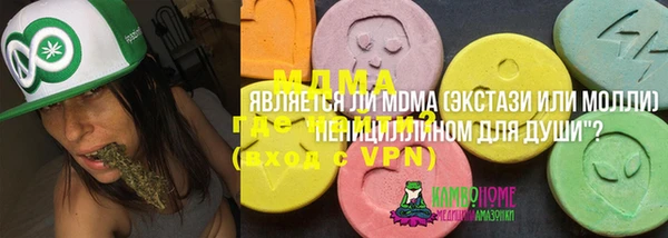 индика Волоколамск