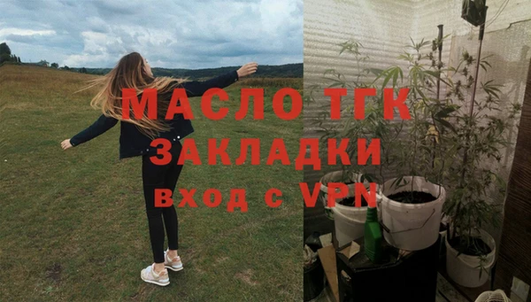 индика Волоколамск