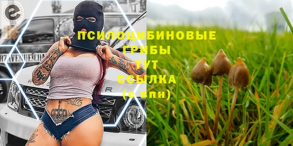 ALPHA PVP Анжеро-Судженск