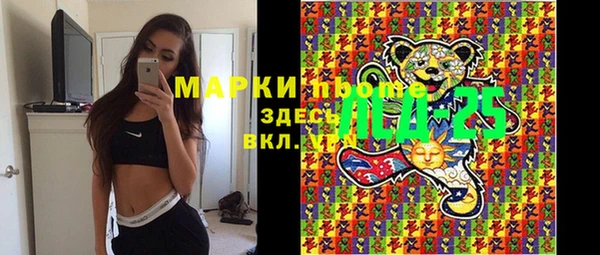 индика Волоколамск