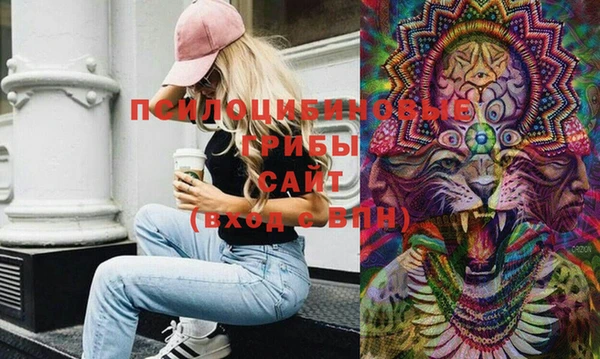твердый Вязьма